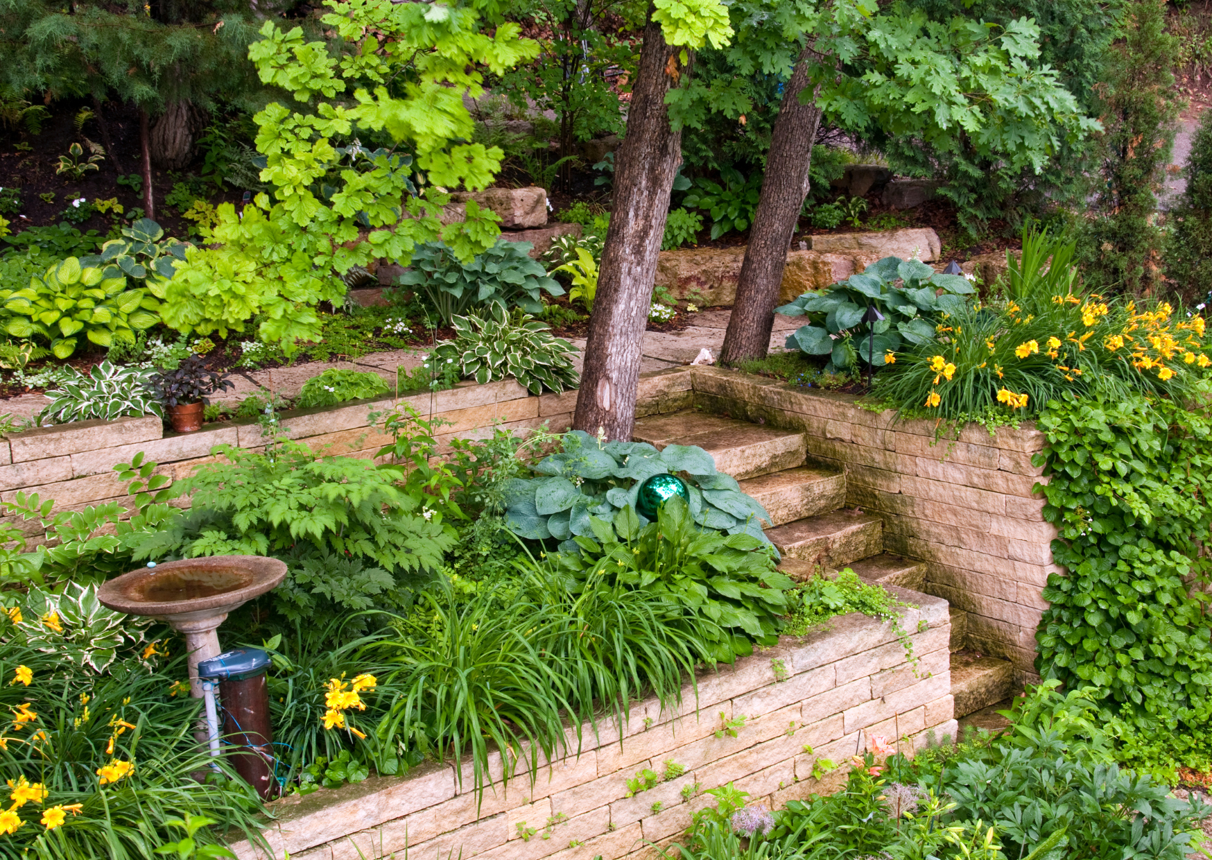 Aménagement de jardin en paliers avec murs en pierre, escaliers et végétation intégrée