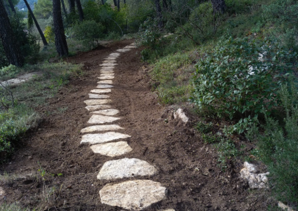 Chemin de jardin en pas japonais en pierre naturelle dans un aménagement paysager naturel