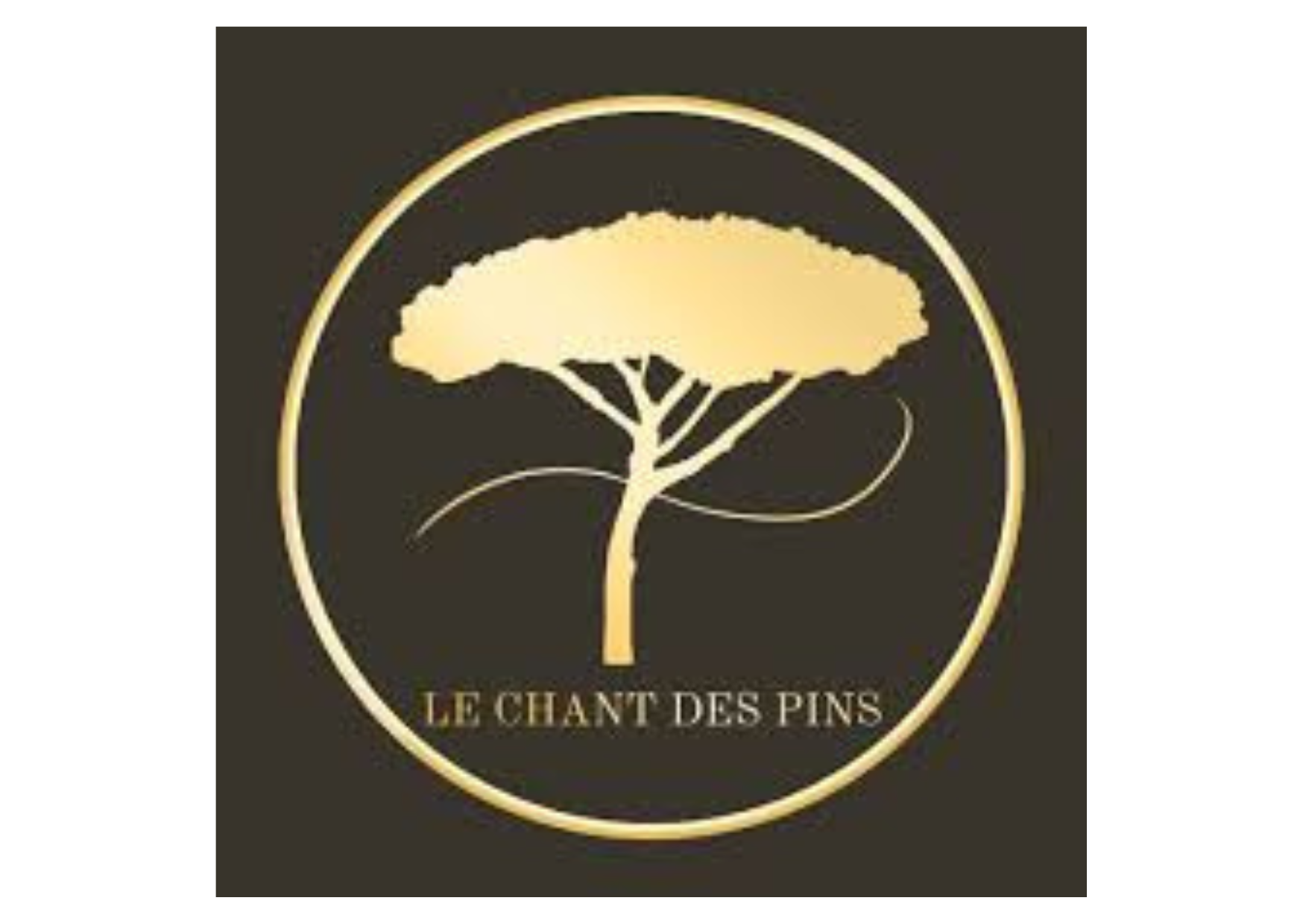 Aménagement extérieur pour Le Chant des Pins – mur en pierre sèche et paysagisme