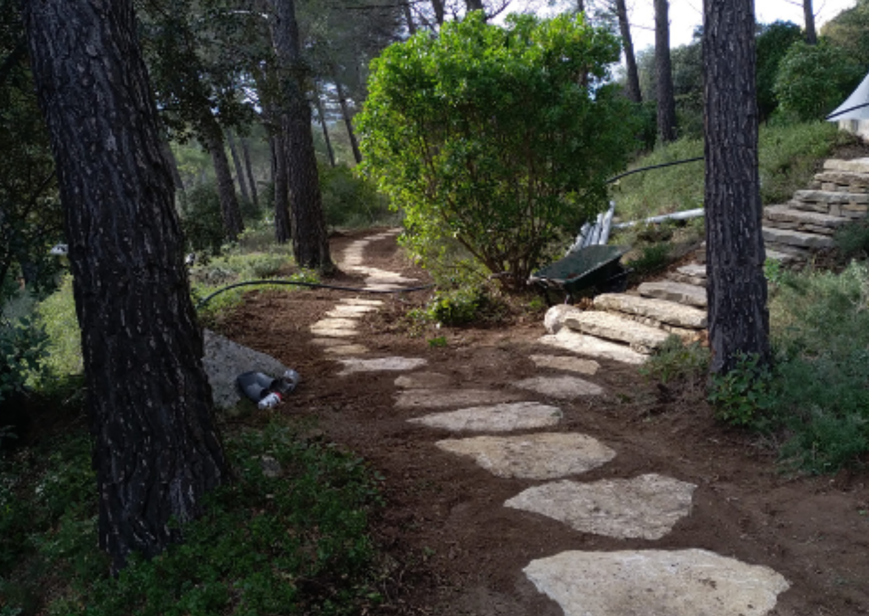 Allée de jardin en pierre naturelle avec pas japonais intégrés dans un aménagement paysager