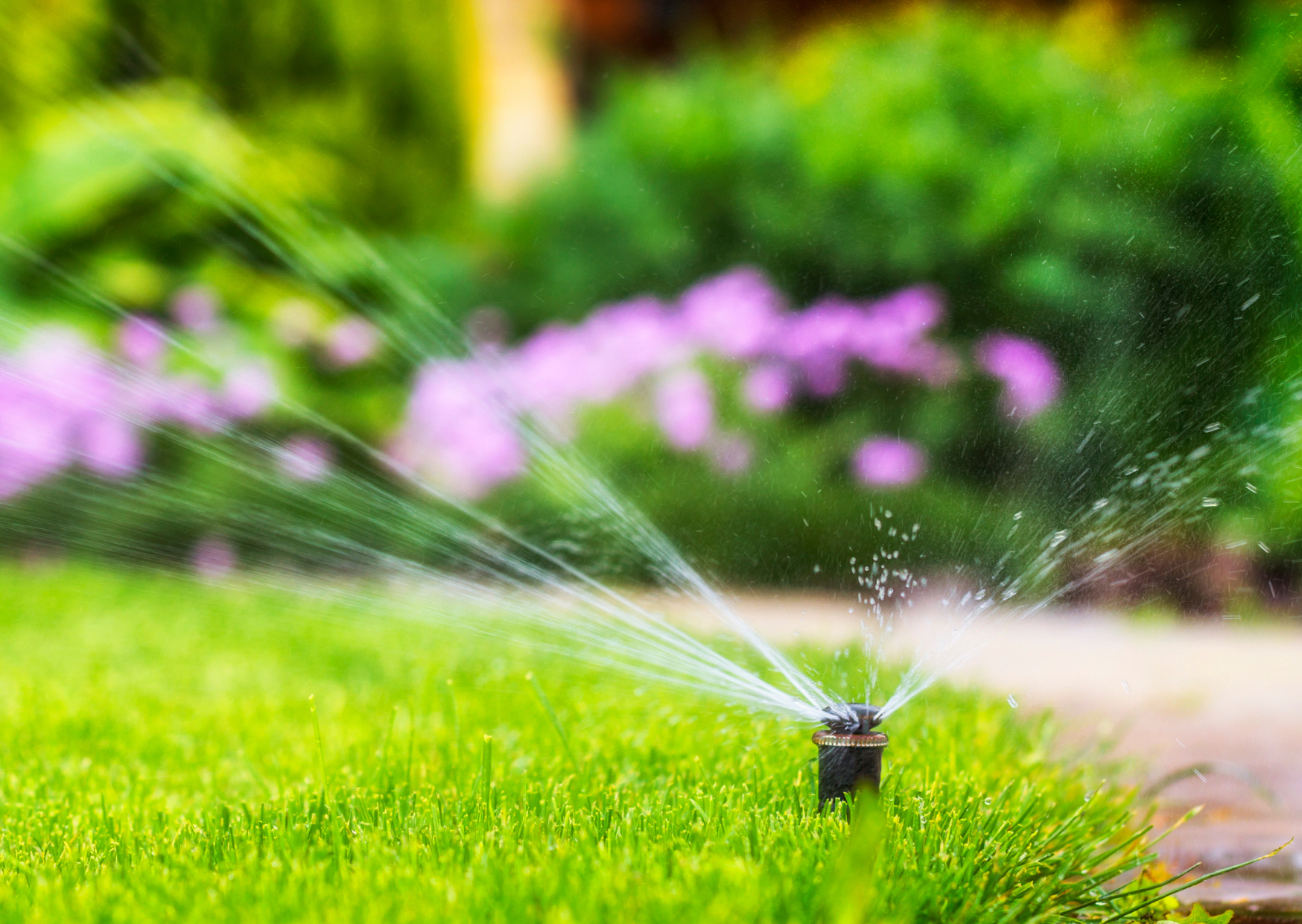 Système d’arrosage automatique enterré pour jardin avec arroseur et gazon